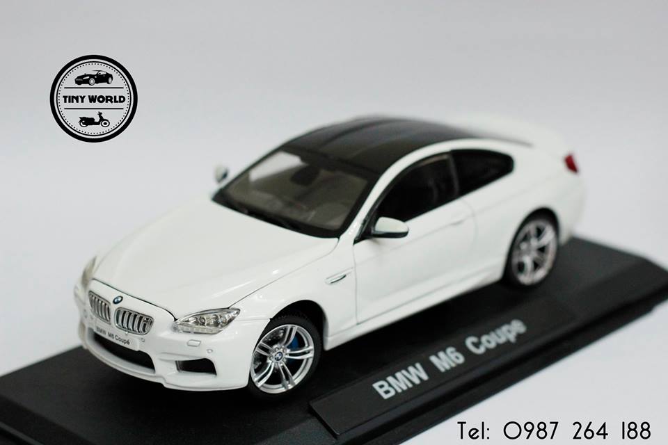BMW BMW M6 COUPE (TRẮNG) 1:24 DOUBLE HORSE